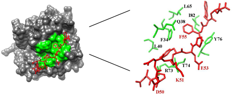 Figure 1: