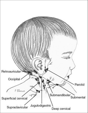 Figure 57-1