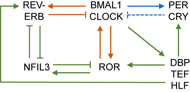 Figure 1: