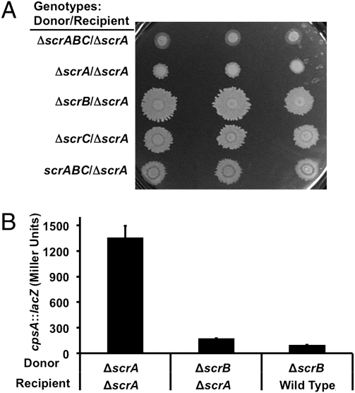 Fig. 4.