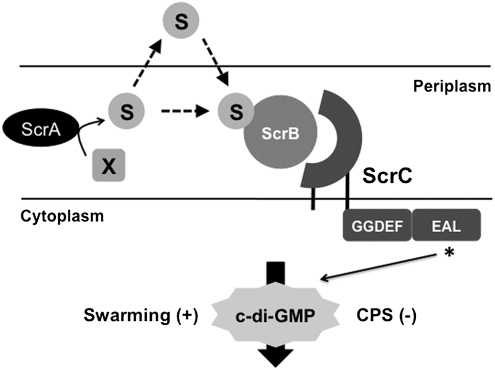 Fig. 5.