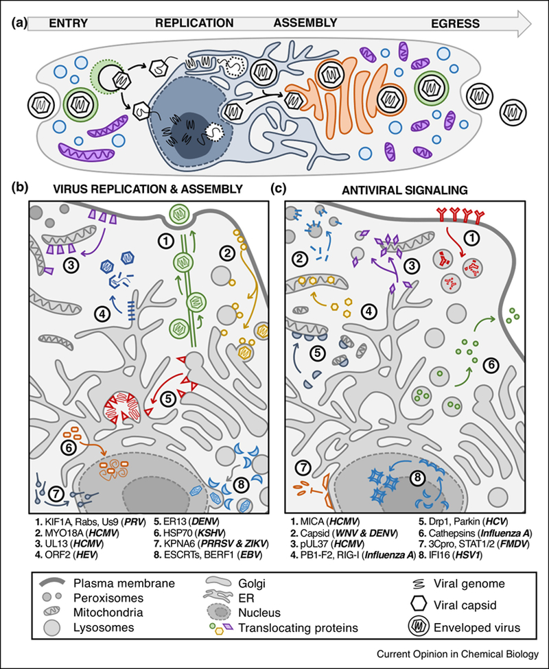 FIG 2: