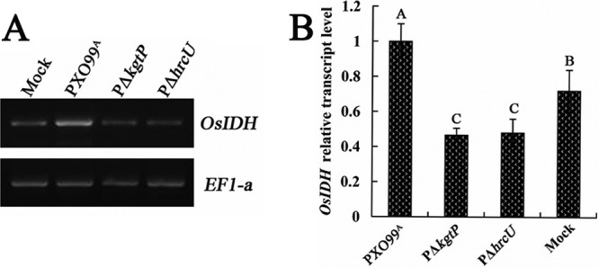 Fig 5