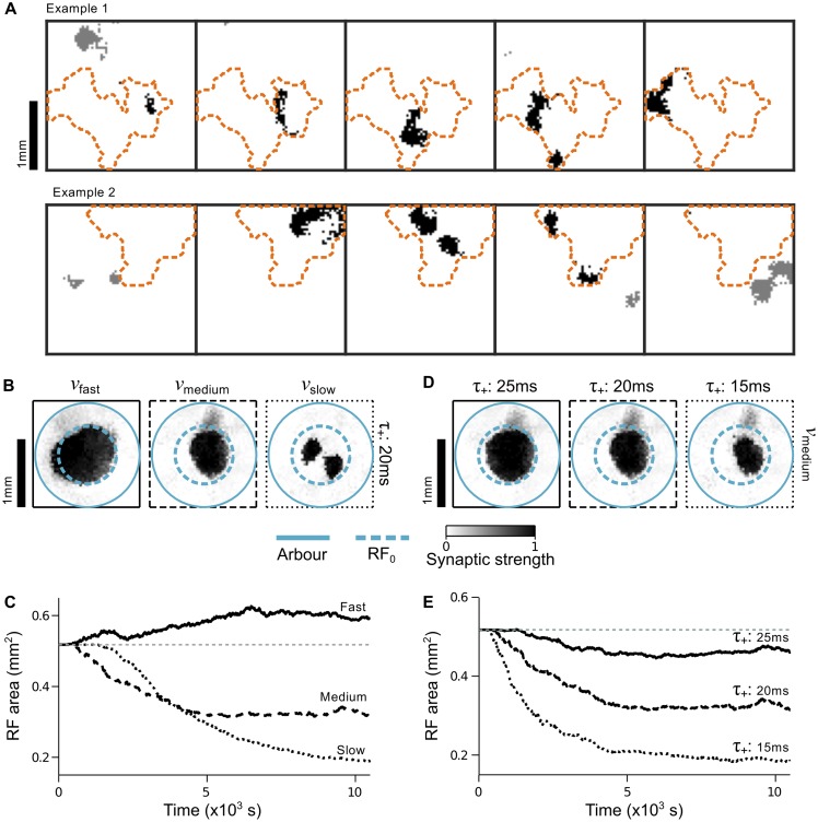 Fig 10