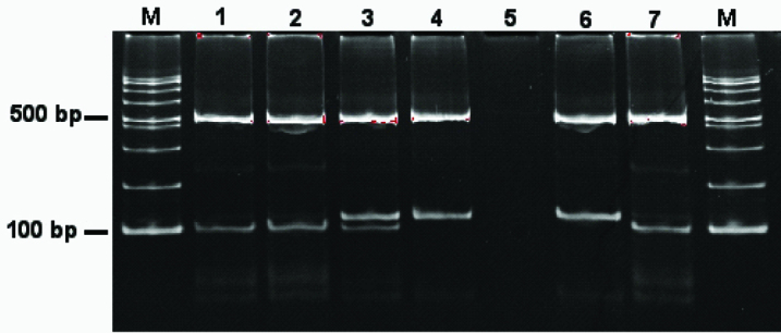 [Table/Fig-1]: