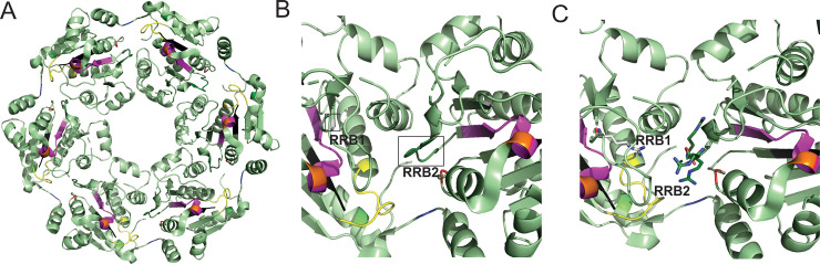 Fig 6