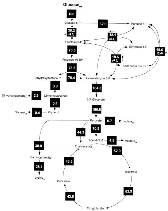 FIG. 2.