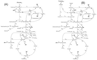 FIG.A1.