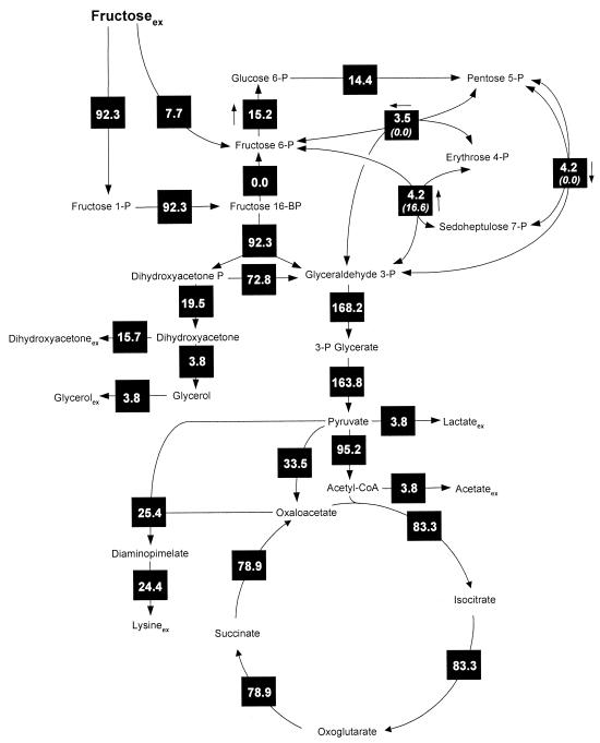 FIG. 3.