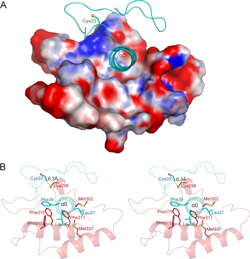 FIGURE 4.