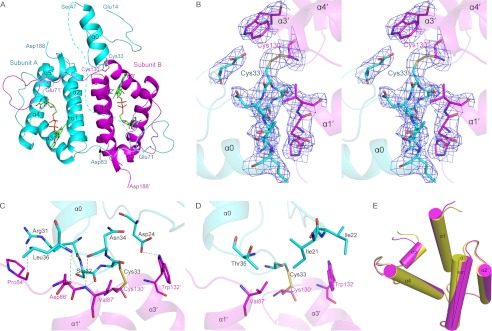 FIGURE 3.