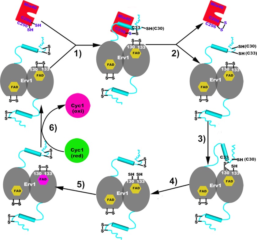 FIGURE 6.