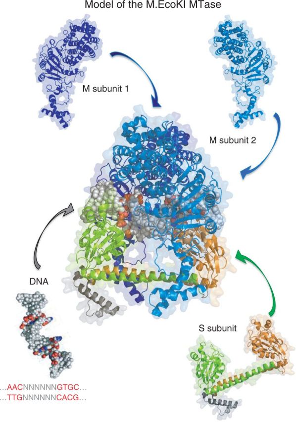 Figure 1.