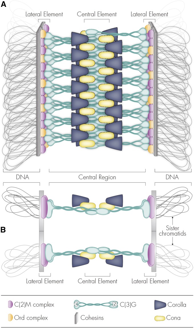 Figure 8