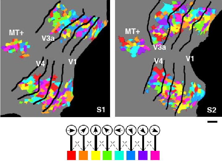 Supplemental Figure 1