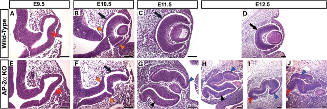 Figure 3.