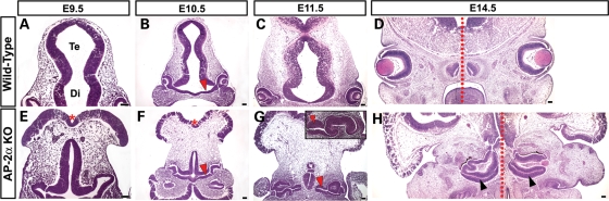 Figure 2.