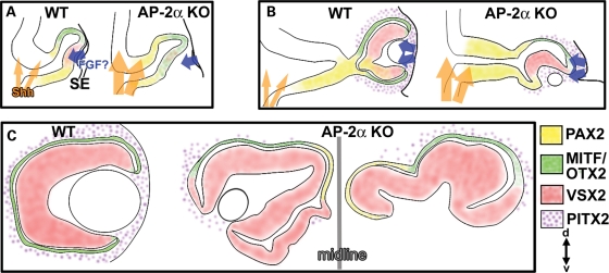 Figure 10.