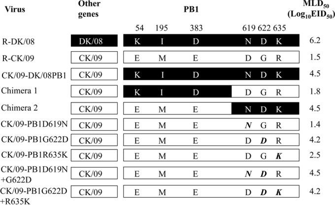 FIG 2