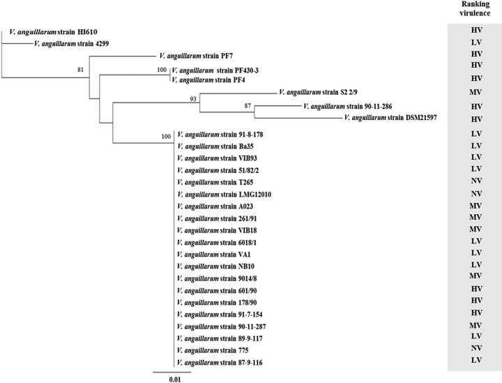 FIG 2 