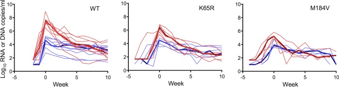 FIG 1