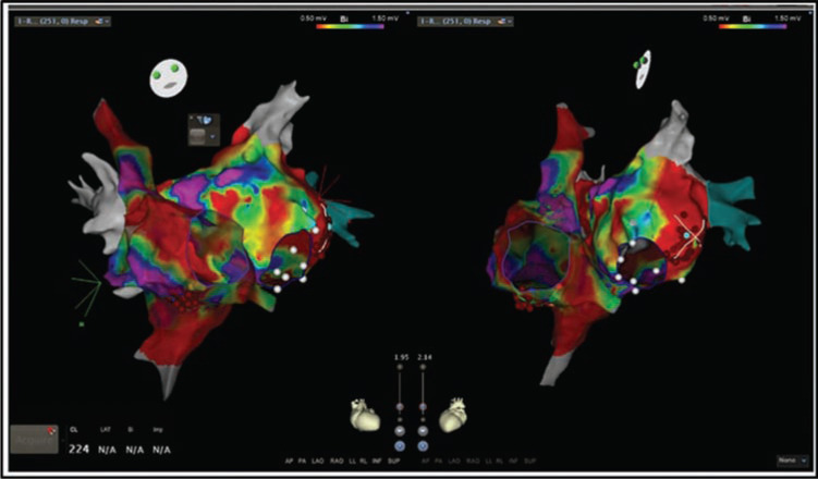 Figure 3: