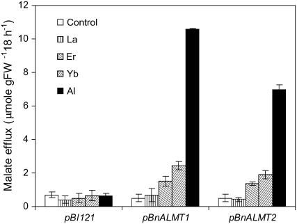 Figure 6.