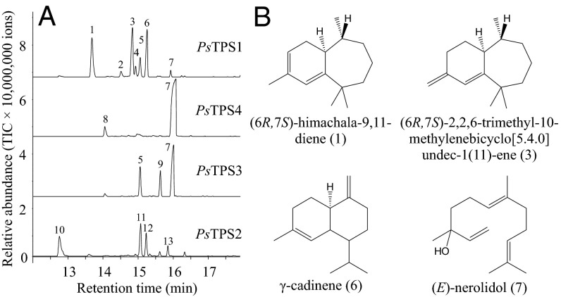 Fig. 3.