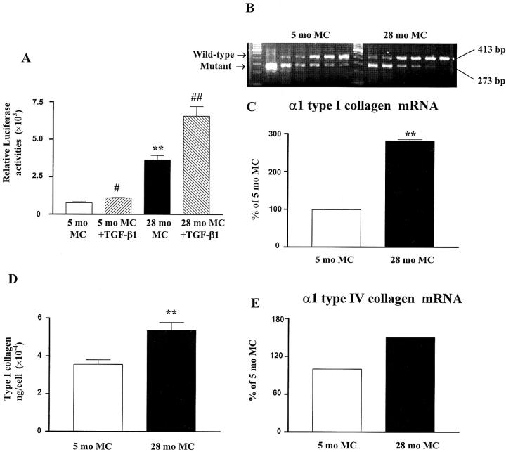 Figure 11.