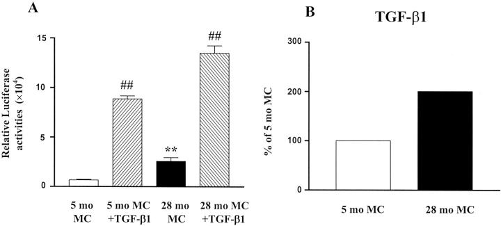 Figure 12.