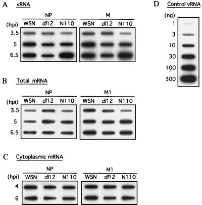 FIG. 7