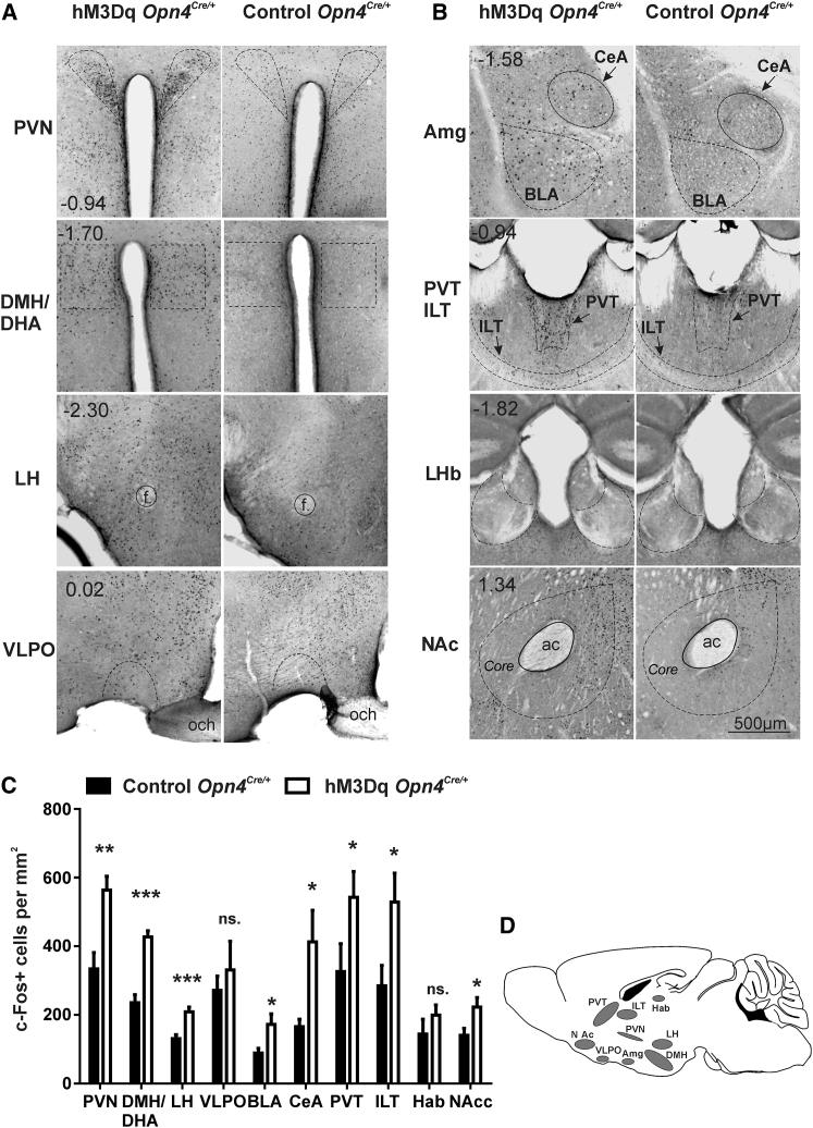 Figure 2