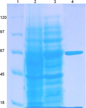 Fig. 3