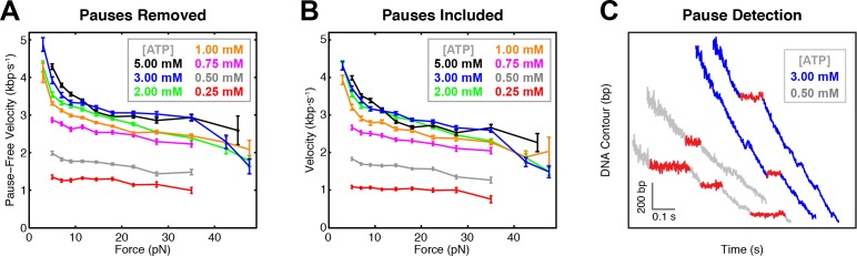 Figure 2—figure supplement 4.