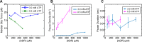 Figure 2—figure supplement 3.