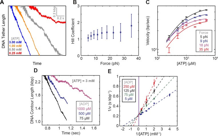 Figure 2—figure supplement 1.