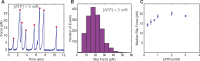 Figure 1—figure supplement 1.