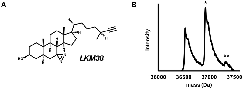 Figure 1: