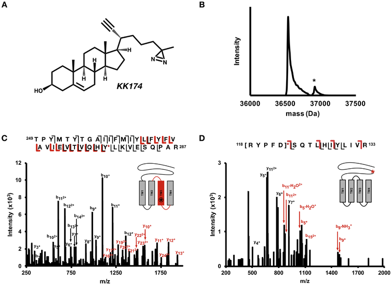 Figure 4: