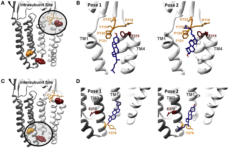 Figure 5: