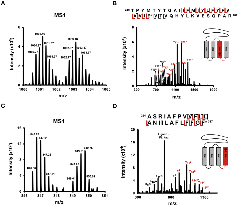 Figure 2: