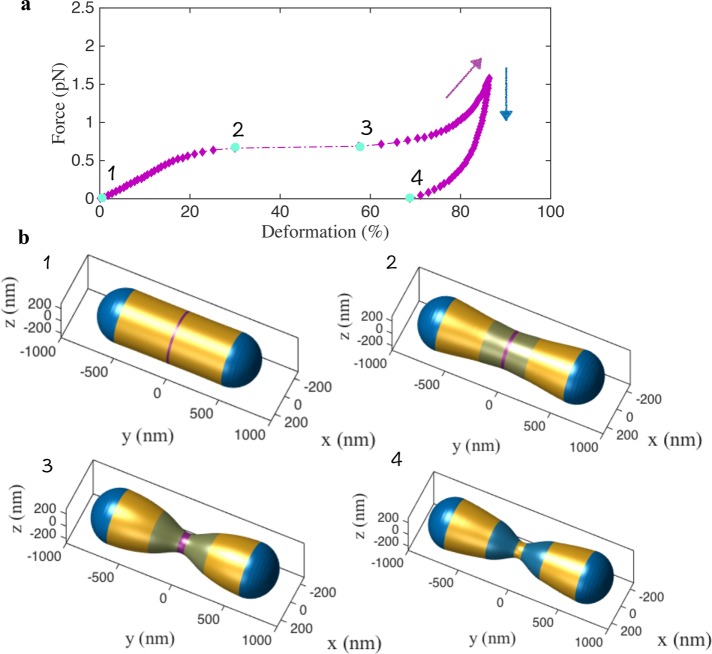 FIGURE 2: