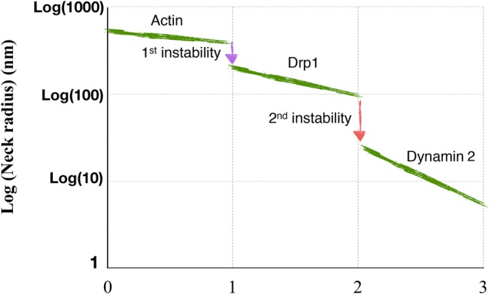 FIGURE 7: