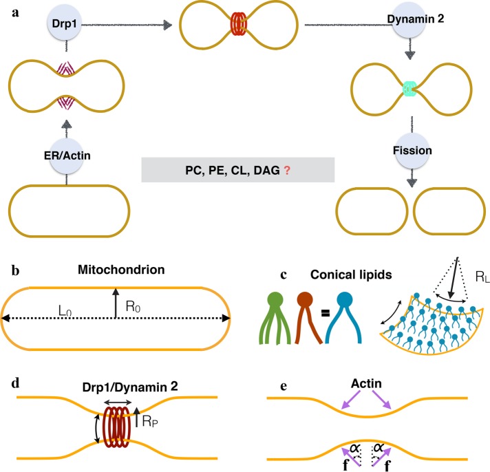 FIGURE 1: