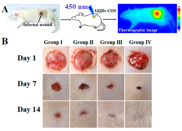 Figure 11