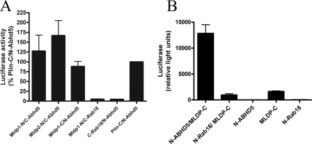 FIGURE 4.