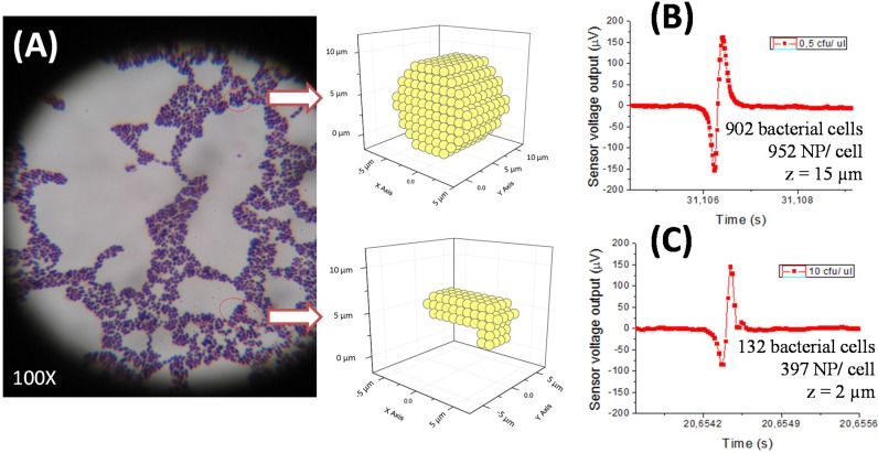 Figure 7