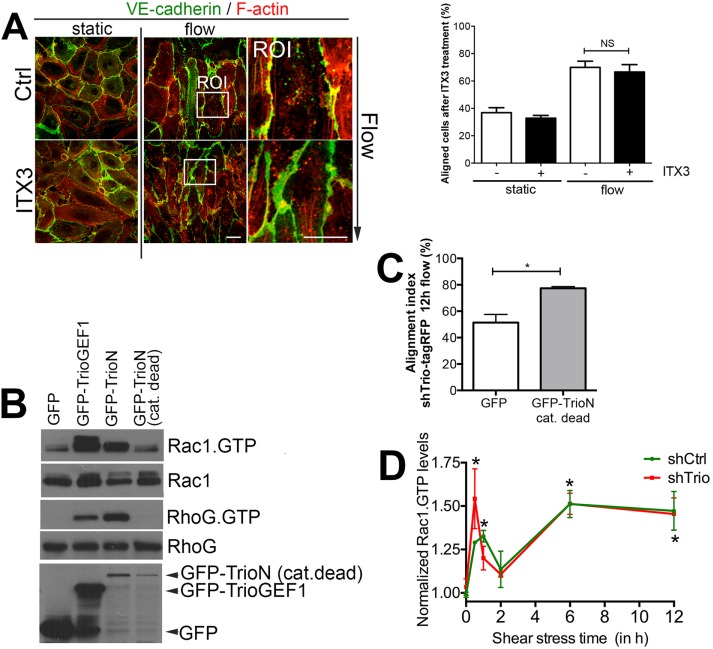 FIGURE 4: