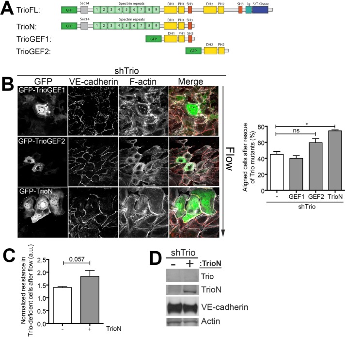 FIGURE 3: