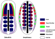 Fig. 7